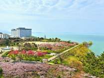 �O�����h�����L���[�����i�΃��]�[�g���X�p