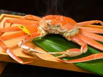 �������h������