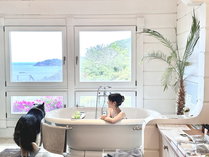 ���䂩��C��Ղ� �ݐ؉���̃y�b�g���]�[�g�@�z�e���l�G�̑�