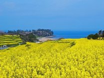 ����@�r�[�`���]�[�g