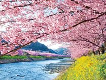 �ɓ�����l���}�z�e��