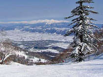 �n�C�����h�ӂ��