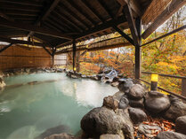 �֒򖼓����]�[�g�@�{�i���̐X