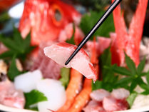 �ʉ_�@���̉�