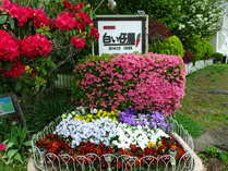 yV@en