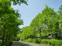 �A�C�E�A�C�E�����h