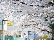 �V�e�B���[�g�z�e��