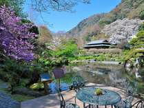 �g�r����