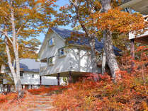 V̐󂪍~蒍X̕ʑ@][gBR