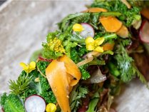 Seminare(�Z�~�i�[��)