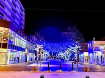 �R�[�g�z�e������