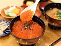 �V�R���� ���_�̓� ��h ��T�󑐁i�h�[�~�[�C���`�F�[���j