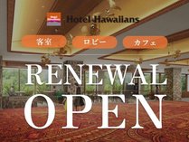 �X�p���]�[�g�n���C�A���Y�@�z�e���n���C�A���Y