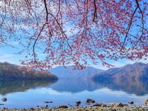 �T�̈�z�e�� ����������