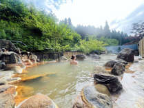 霧島の民宿 宿泊予約は じゃらん