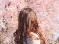 �A�[�o���z�e����{��