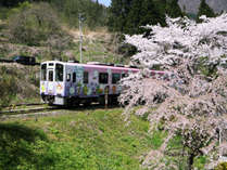 �z�e���哇