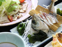 �r�W�l�X�z�e��������