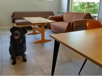 �a������