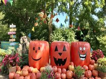 �y���V�����@�j�`�l�h�e�t�i�h