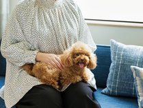 �t�F�A�t�B�[���h�E�o�C�E�}���I�b�g�E���s�݂Ȃ݂�܂���