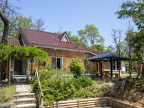 �n�[�g�����h�q���Y�����\�o�P�U�a���_���̉�