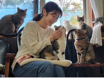 �L������h�y���V����GENTILE