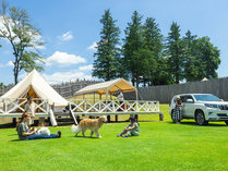 �T�W���n�X�N���u�@���X�e�B�b�N�L�����v��