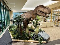 ���R�j���[�z�e��