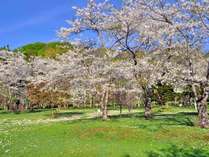 �p�V�t�B�b�N����z�e��������