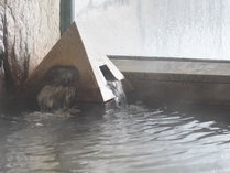 ���C�@���q����@�z�e���t�H���X�^���C