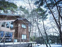 COCO VILLA �y���