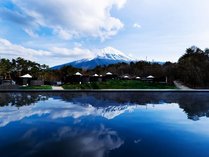 THE SENSE FUJI