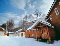 ���b�W�^���f��