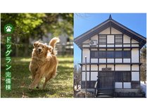 �R���Z�v�g�R�e�[�W�@�a�ݎɂЂ邪��