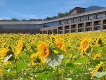 �x�ǖ�z�e���@Furano Hotel