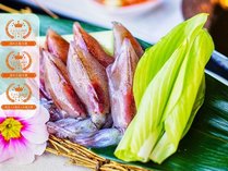 ���z�̏h �O�y��