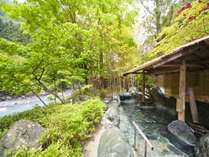 �S�ٌ���|�������̏h�@���R����@�c�_��