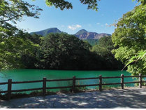 ���B���C�i���V��