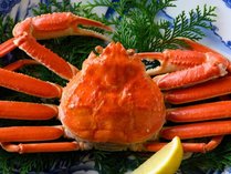 国民宿舎山紫苑〜朝も夜も入れる温泉庭園露天風呂と山陰の美味〜