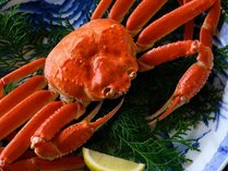 �����h�ɎR�����`�����������鉷��뉀�I�V���C�ƎR�A�̔����`