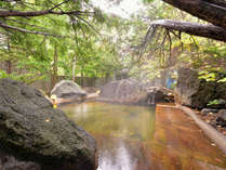 �z�e���p�[�N�E�F�C