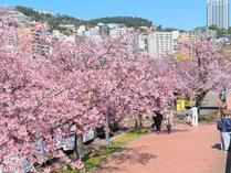 �Q�X�g�n�E�X�@�}����