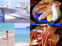 �����̕l�@�������ɂP�O�O���@���h���݂���