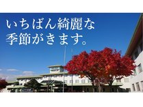 �z�e���e�g�����]�[�g�\����