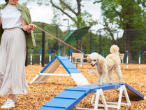 ���u�}�b�N�X���]�[�g�ɓ������`�m�m�d�w