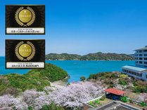 �㎿�̔����Ƃ����ĂȂ��B�I�[�V�����r���[�̏h ���� �C�̒�