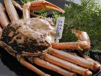 �z�e���O��^�ʊقȂ��ނ瑑