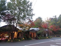 �k�J�̏h�@��C�̋S�@