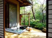 �ɓ��E���c�̌b�݂Ə{�̐H�ށ@����|�����@��̉Ԓ��@���ނ炳��